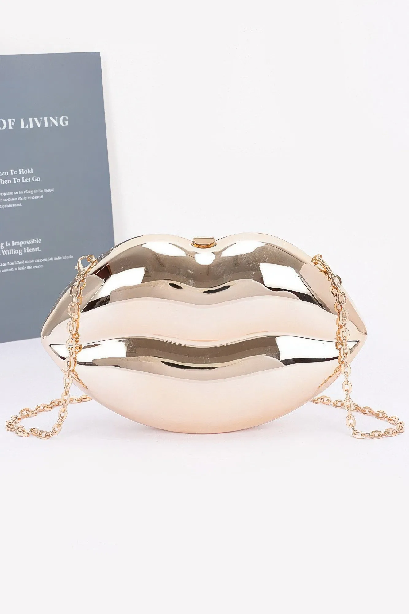 Acrylic Case Bag