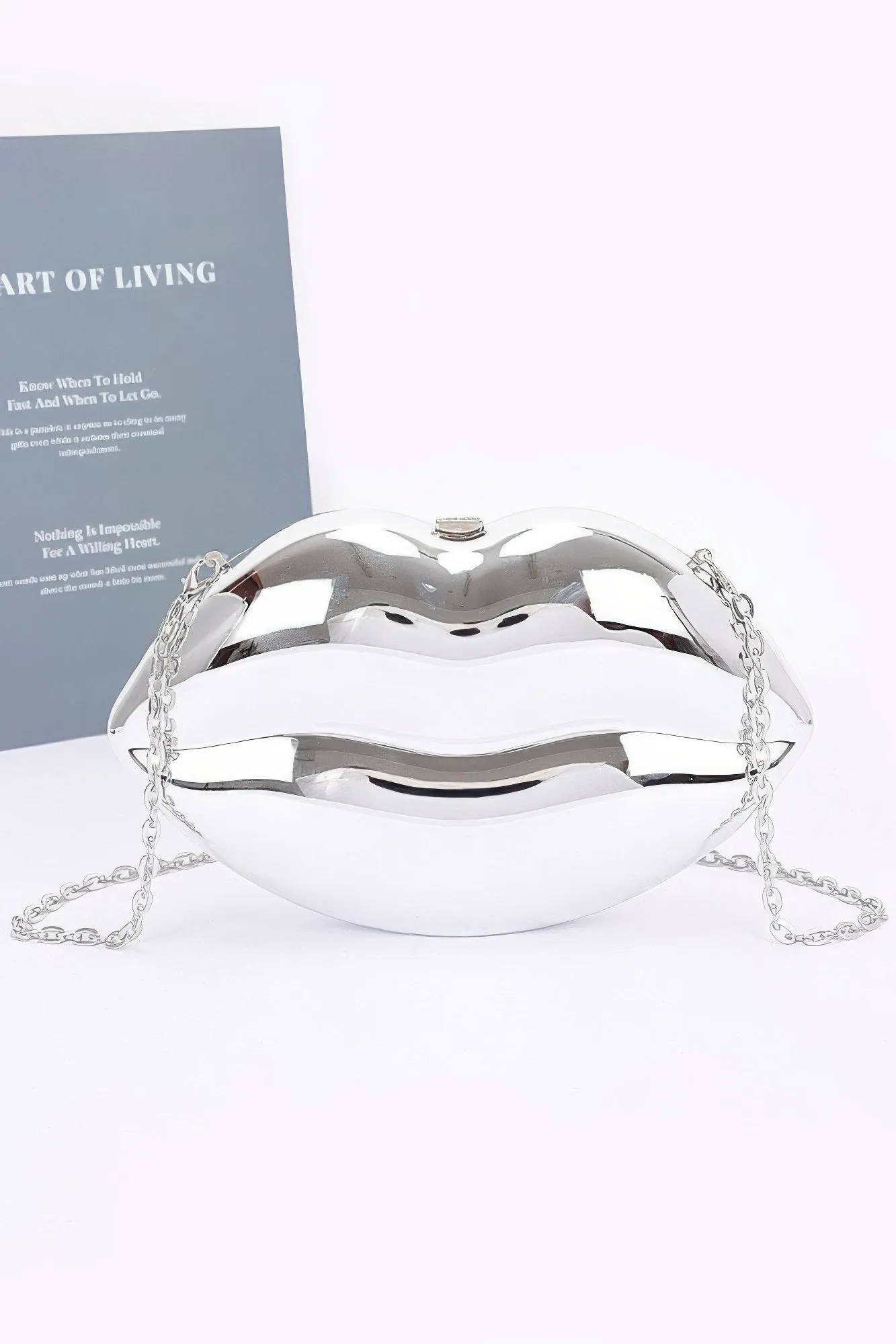 Acrylic Case Bag