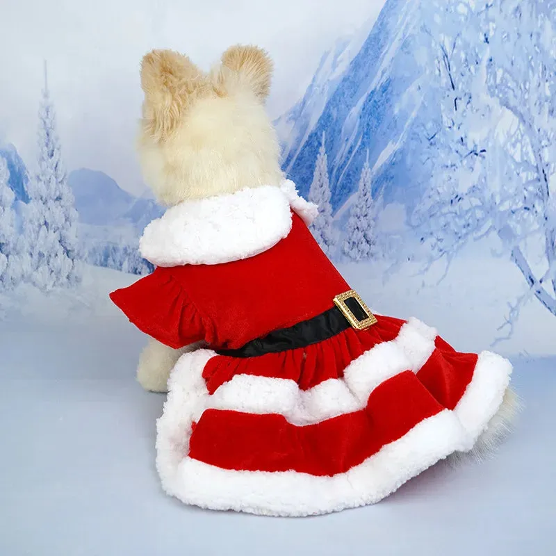 ANYWAGS Pet Clothes Christmas Princess Dress with Fluffy Skirt and Belt for Holiday Season and Occasions