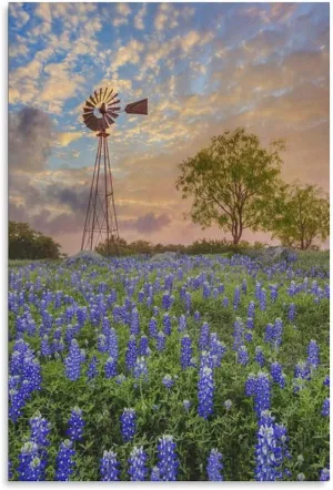 Beautiful Texas Bluebonnets Flowers Sunset Windmill Tree Canvas Poster Bedroom Decor Sports Landscape Office Room Decor Gift,Canvas Poster Wall Art Decor Print Picture Paintings for Living Room Bedroo