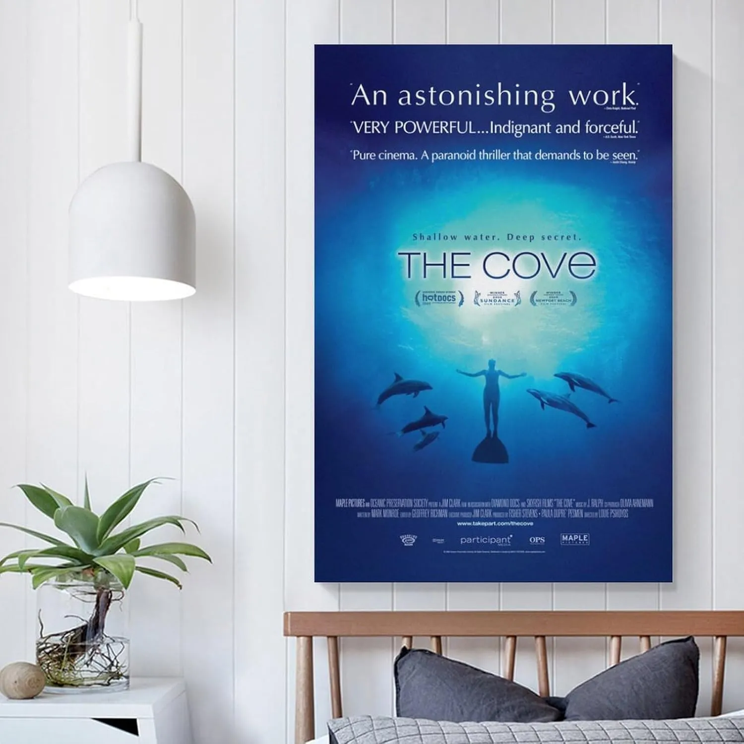 Canvas Movie Poster,The Cove,Marine Ecological Protection Documentary (4) Painting On Canvas Wall Art Poster Scroll Picture Print Living Room Walls Decor Home Posters 20x30inch(50x75cm)