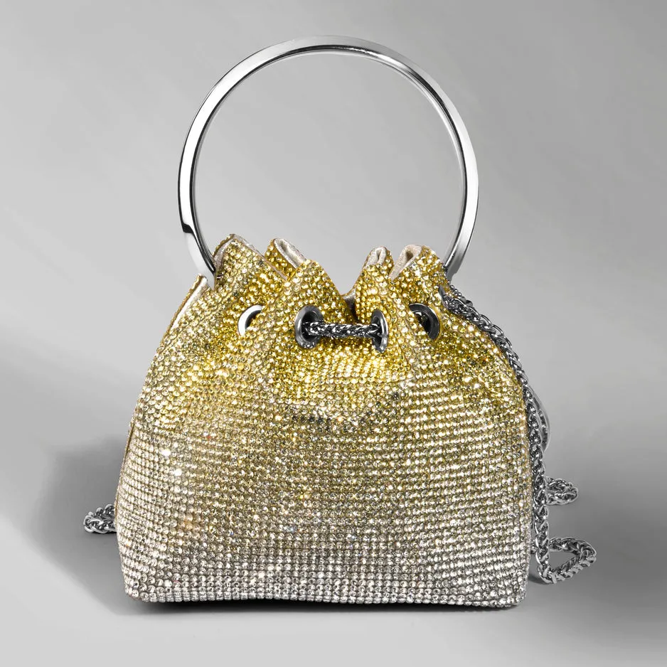 Caprese Aurora Silver Gold Clutch
