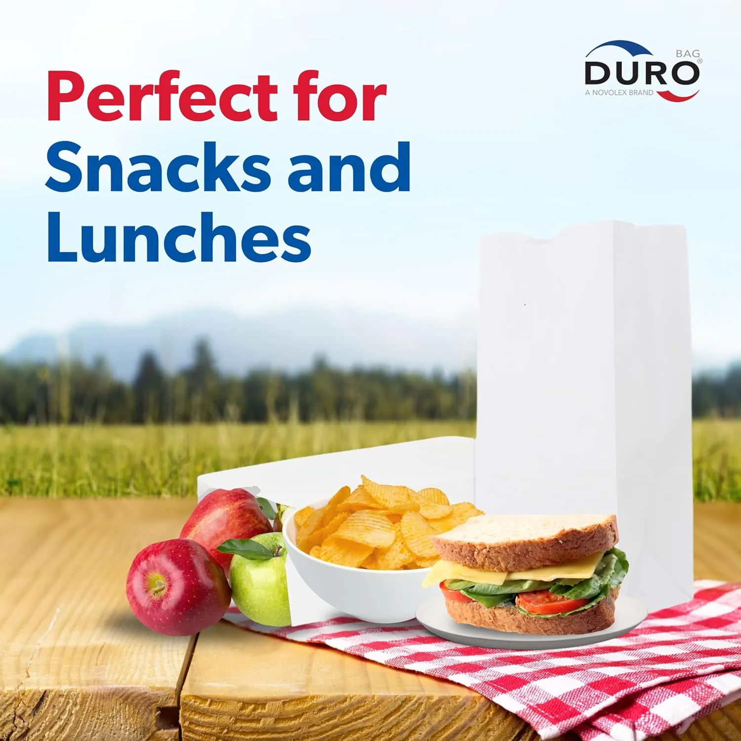 Duro 4# White Paper Lunch Bags 100-Count, Bulk Disposable Paper Bags, Small SOS for Popcorn Candy, Snacks & Treats - 5.00 x3.12 x 9.75 Inches