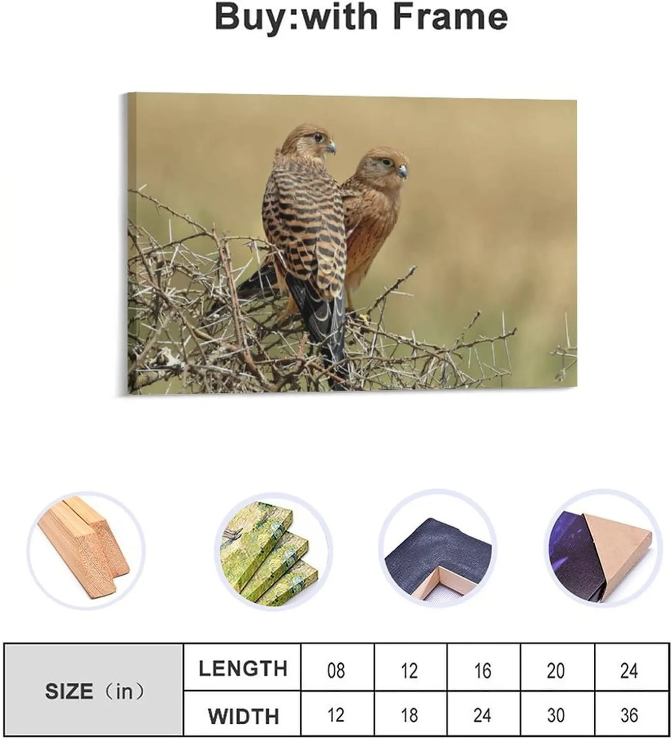 Kestrels Couple On Thornbush Room Aesthetics Posters Canvas Bedroom Sports Office Decoration Gifts Wall Art Printing 20x30inch(50x75cm)