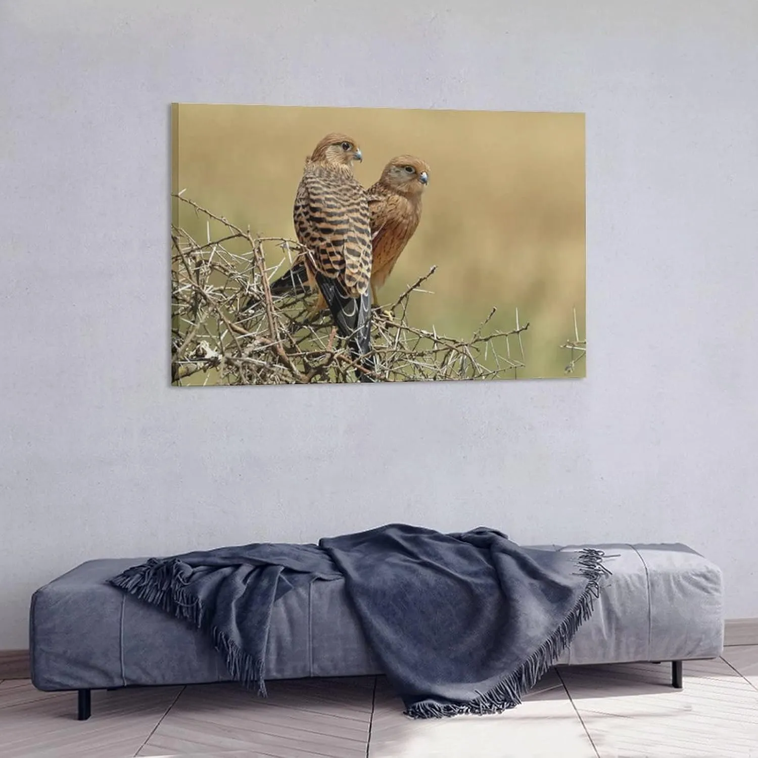 Kestrels Couple On Thornbush Room Aesthetics Posters Canvas Bedroom Sports Office Decoration Gifts Wall Art Printing 20x30inch(50x75cm)