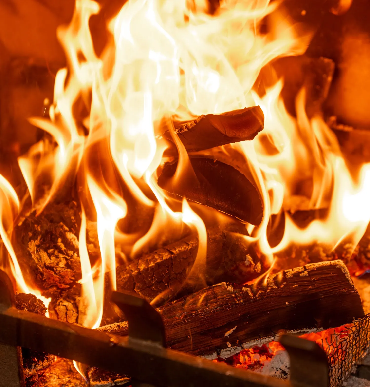 Kiln Dried Firewood Clearance Line