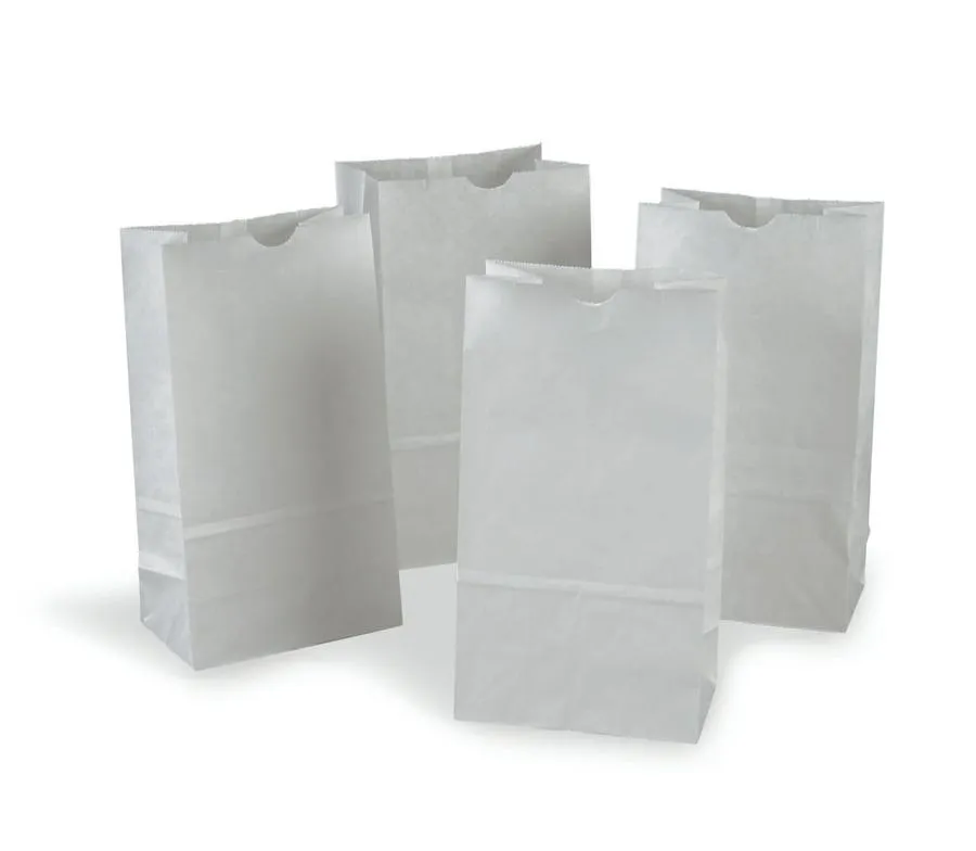 Pacon Rainbow® Kraft Bags 6x11, White, 50 Count