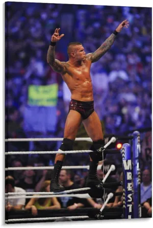 Randy- Orton Wrestler Poster (14) Posters Wall Art Painting Canvas Living Room Prints Bedroom Decor Poster Artworks 24x36inch(60x90cm)