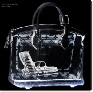 The Oliver Gal Artist Co. Fashion and Glam Wall Art Canvas Prints 'Couture X Ray' Handbags Home Décor, 16 in x 16 in, Black, White