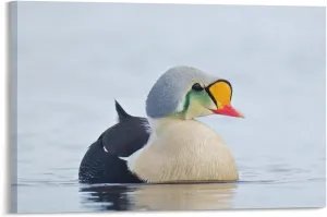 Water King Eider Pet Duck Room Aesthetics Posters Canvas Posters Bedroom Decoration Sports Office Decoration Gifts Wall Art Decoration Printing Posters 12x18inch(30x45cm)